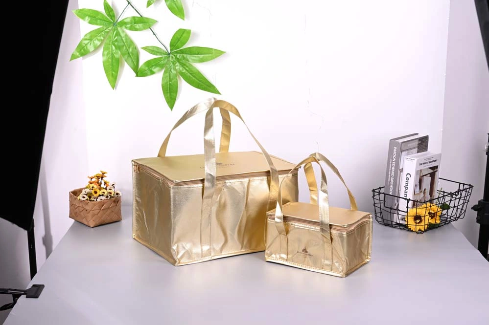 Custom Logo Portable Picnic Insulation Bag Cooler Lunch Thermal Bag